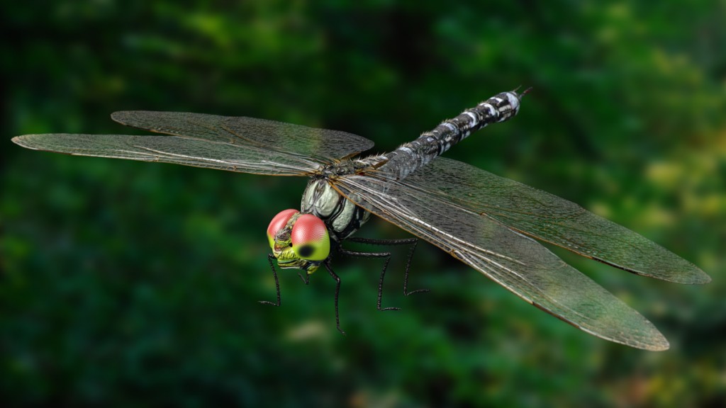 Dragonfly preview image 2